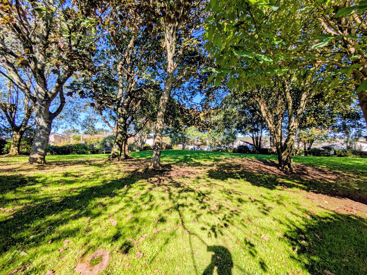 Gover Close, Mount Hawke, Truro